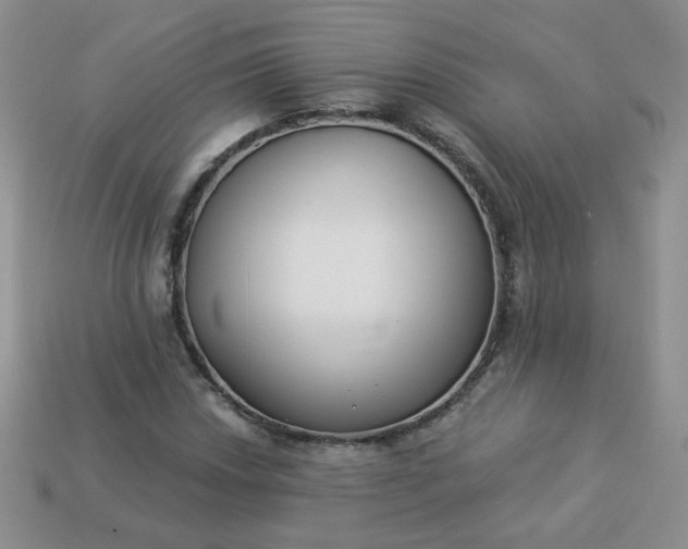 X0000114161018200910221603