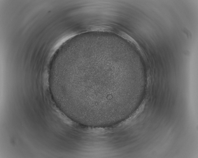 X0000114161019200910221603