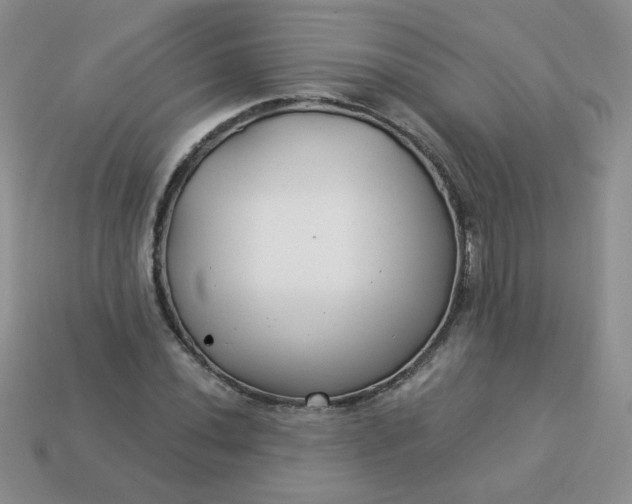 X0000114161020200910221603