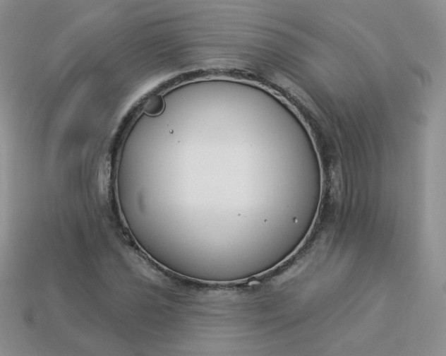 X0000114161021200910221603