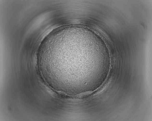 X0000114161023200910221603