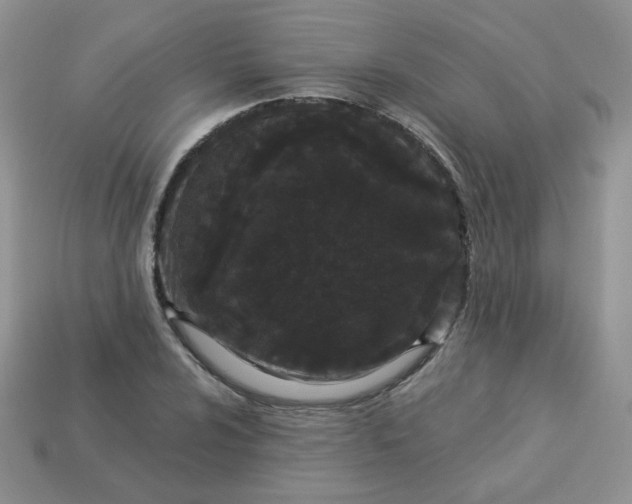 X0000114161024200910221603