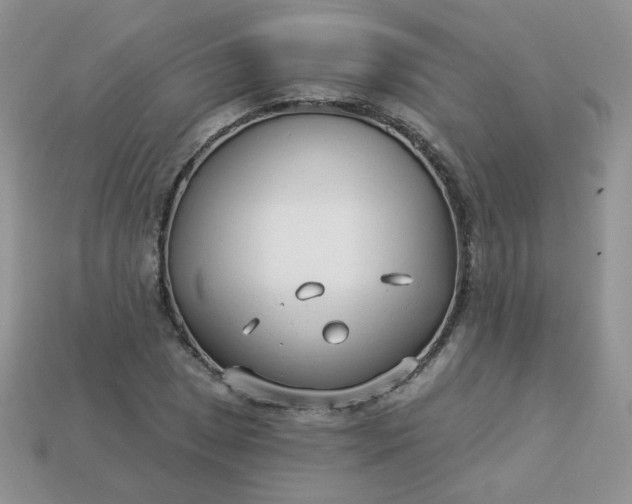 X0000114161025200910221603