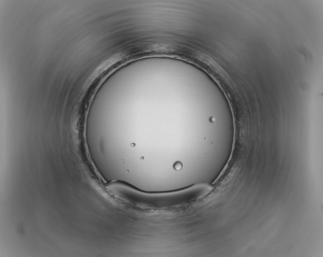 X0000114161026200910221603