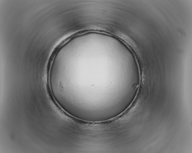 X0000114161028200910221603