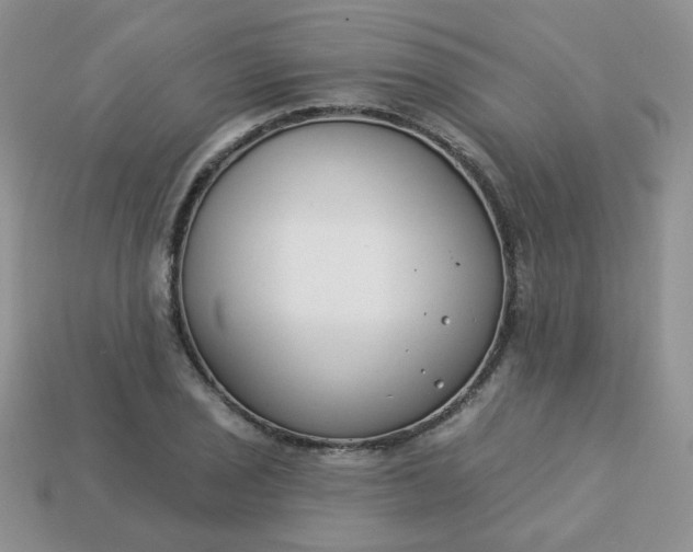 X0000114161029200910221603