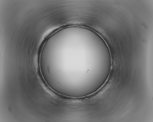 X0000114161030200910221603