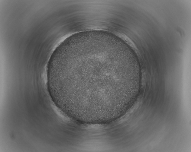 X0000114161031200910221604