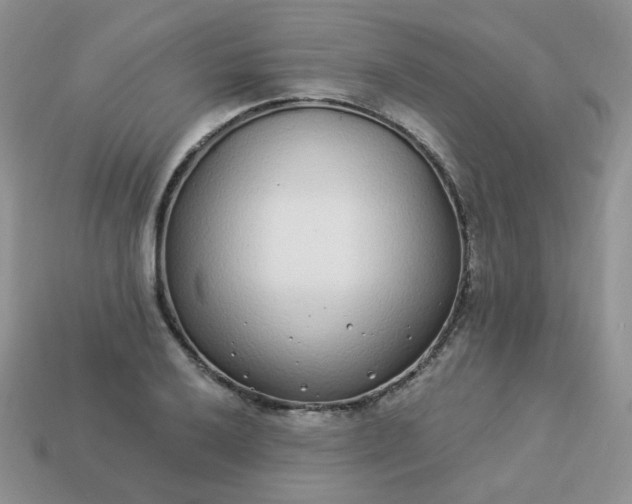 X0000114161032200910221604