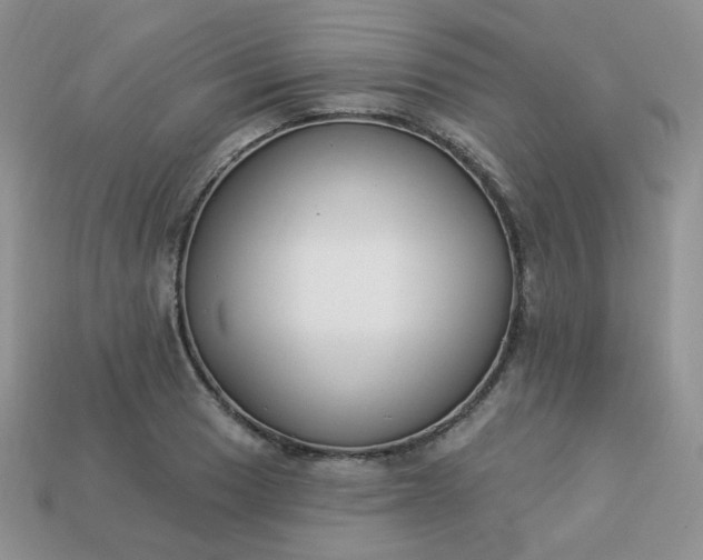 X0000114161033200910221604