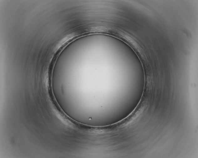 X0000114161034200910221604