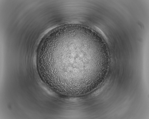 X0000114161035200910221604