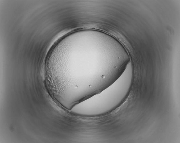 X0000114161036200910221604