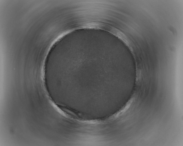 X0000114161037200910221604