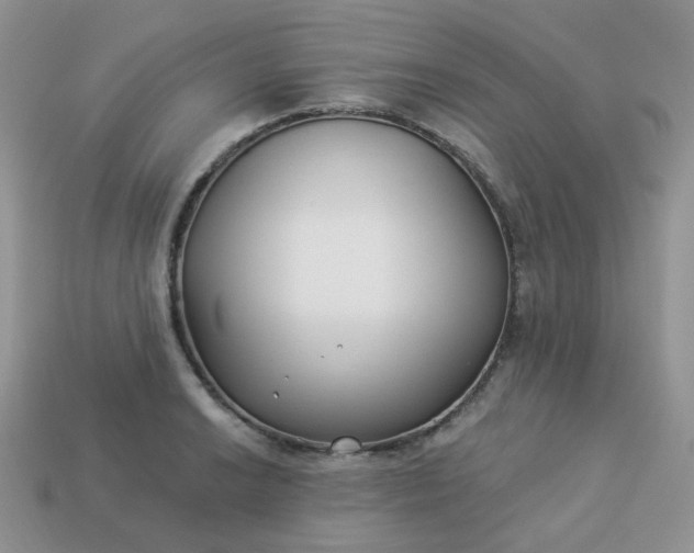 X0000114161038200910221604