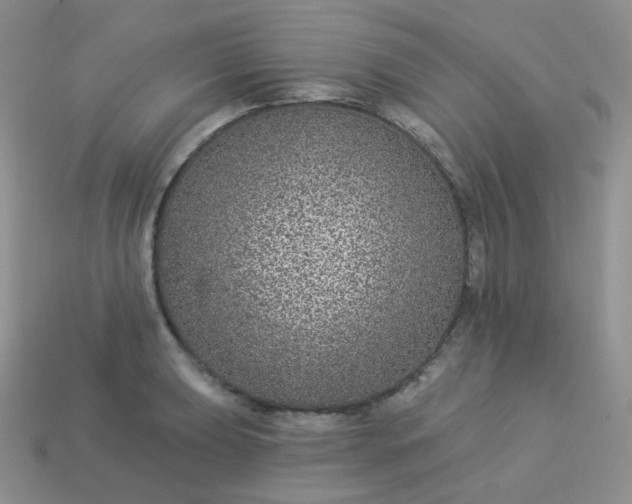 X0000114161039200910221604