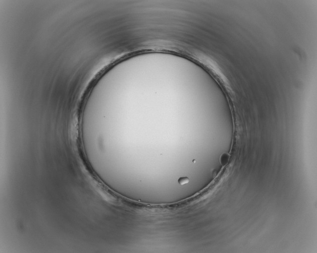 X0000114161040200910221604