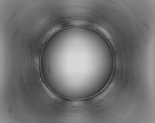 X0000114161041200910221604