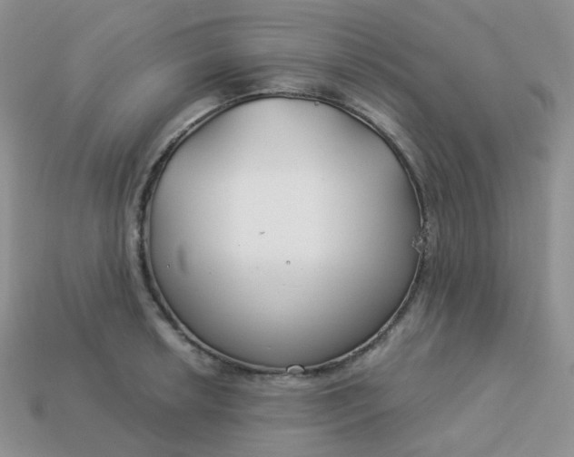 X0000114161042200910221604