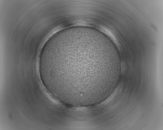 X0000114161043200910221604