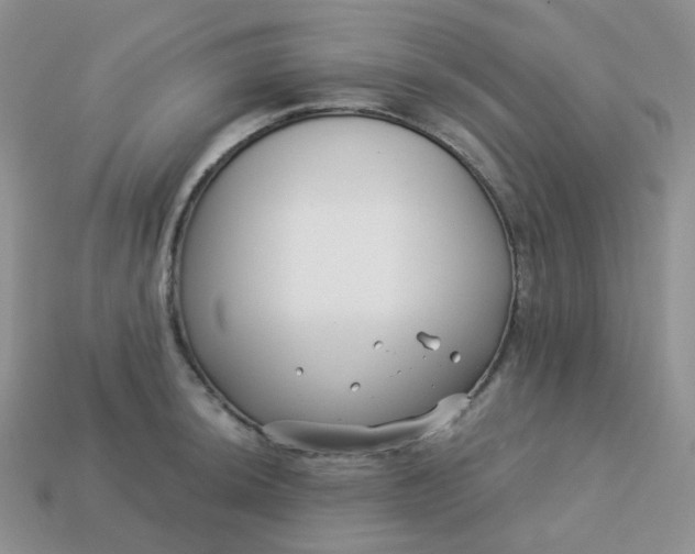 X0000114161044200910221604