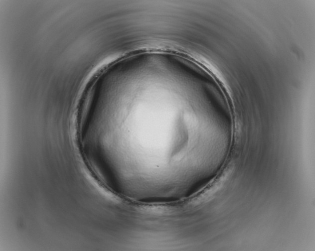 X0000114161045200910221604