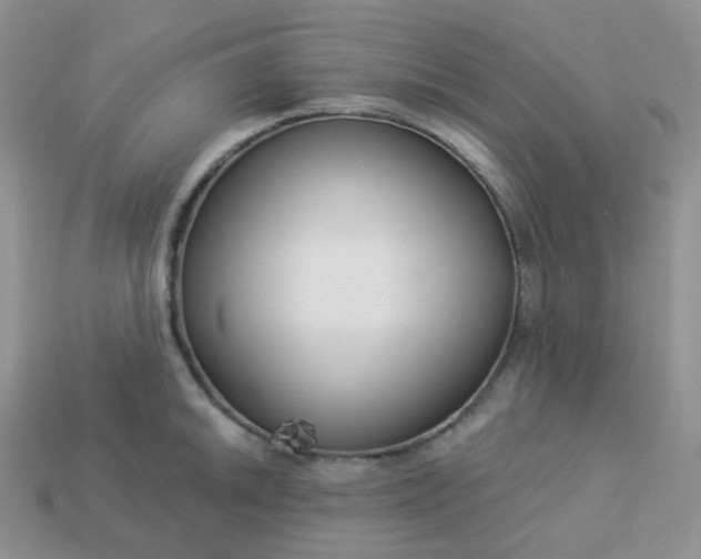 X0000114161046200910221604