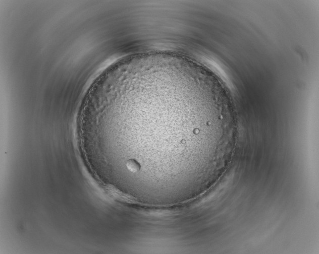 X0000114161047200910221604