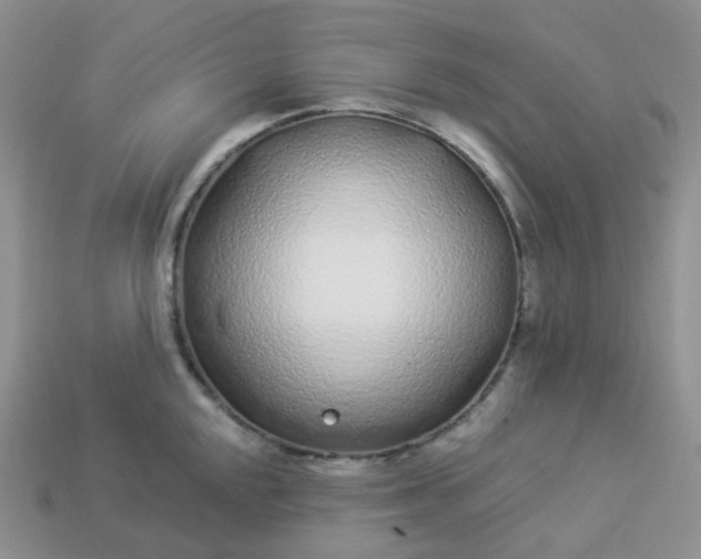 X0000114161048200910221604