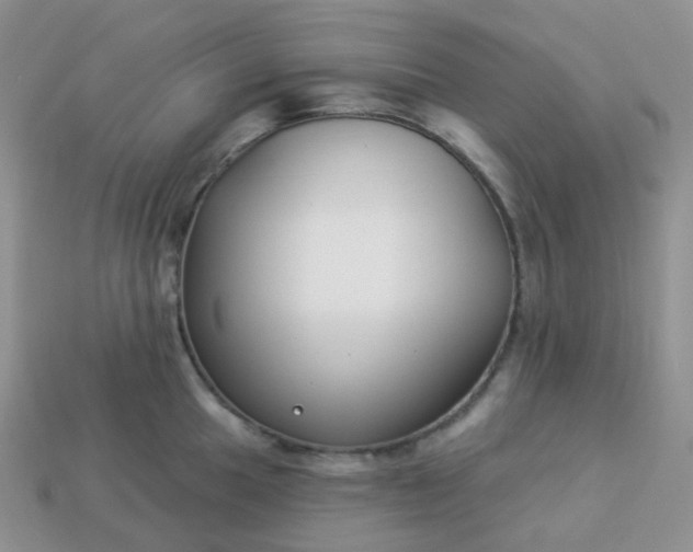 X0000114161049200910221604