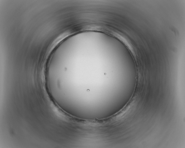 X0000114161050200910221604