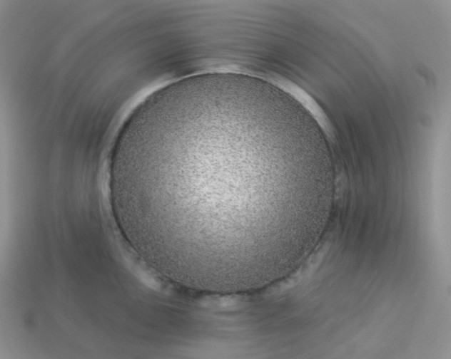 X0000114161051200910221604