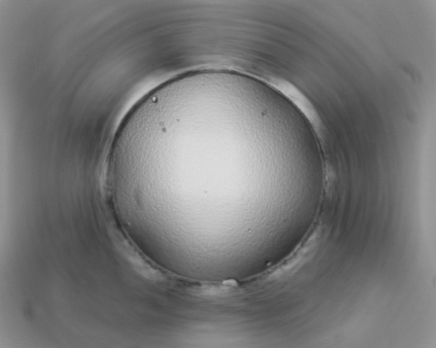 X0000114161052200910221604