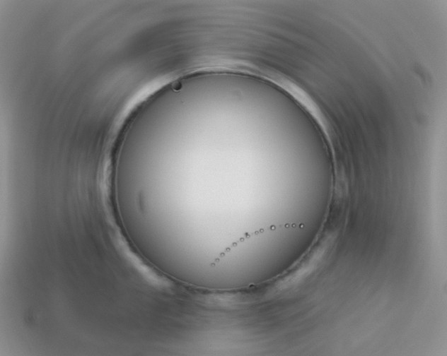 X0000114161053200910221604