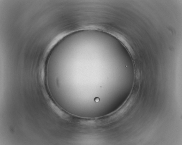 X0000114161054200910221604