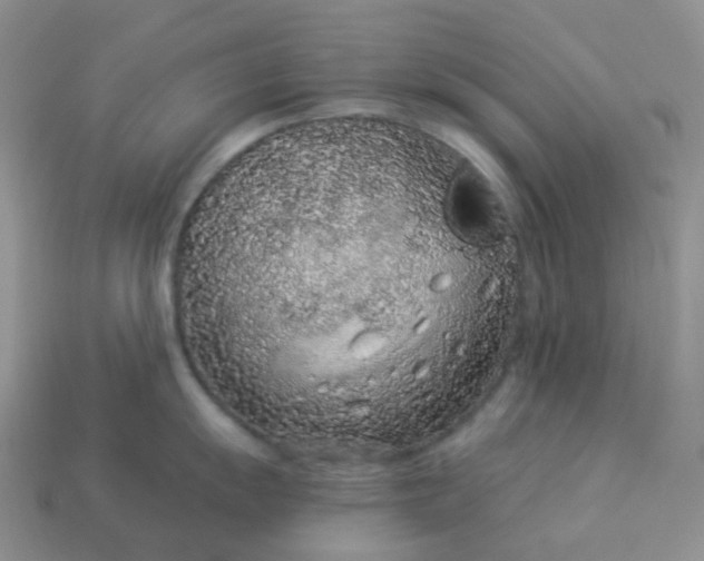 X0000114161055200910221604