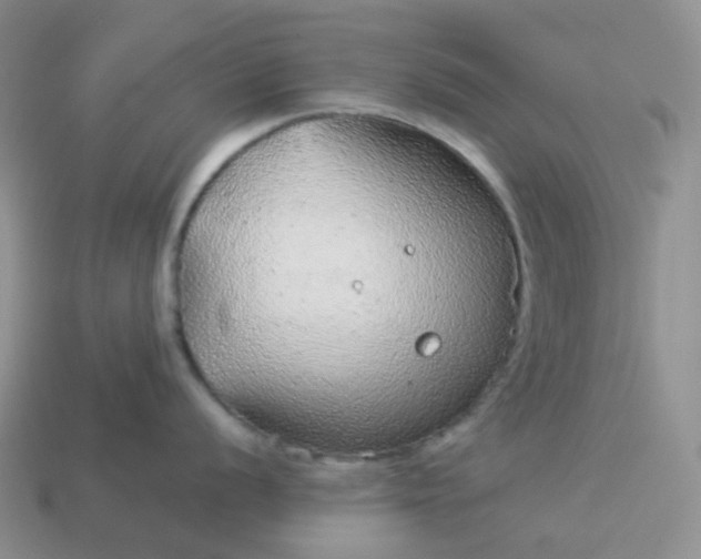 X0000114161056200910221604