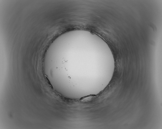 X0000114161057200910221603