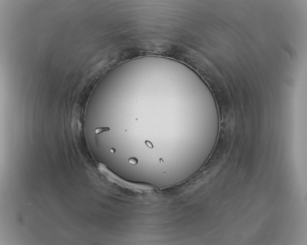 X0000114161058200910221603