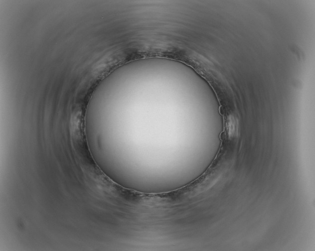 X0000114161059200910221603