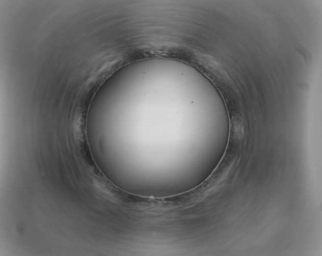 X0000114161060200910221603