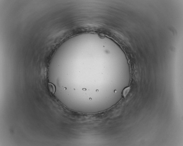 X0000114161061200910221603