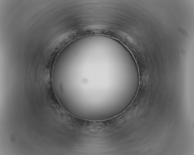 X0000114161062200910221603