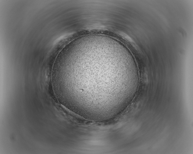 X0000114161063200910221603