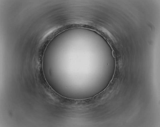 X0000114161064200910221603