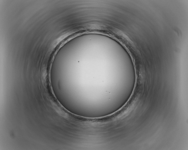 X0000114161065200910221603