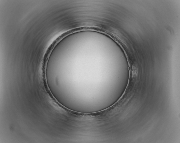 X0000114161068200910221603