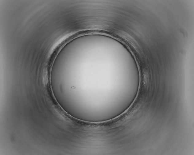 X0000114161069200910221603