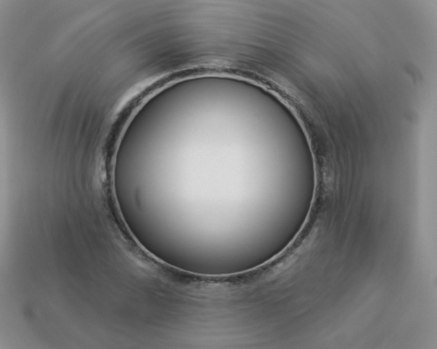 X0000114161070200910221603