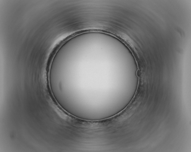 X0000114161072200910221603